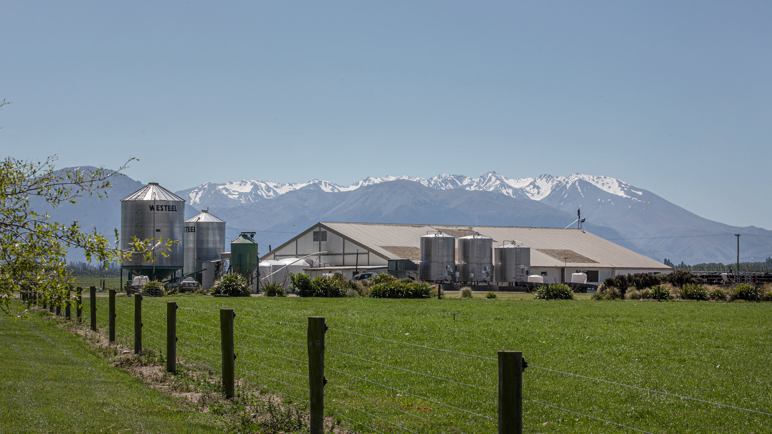 Align Farms Farming for a resilient, diverse, productive environment.