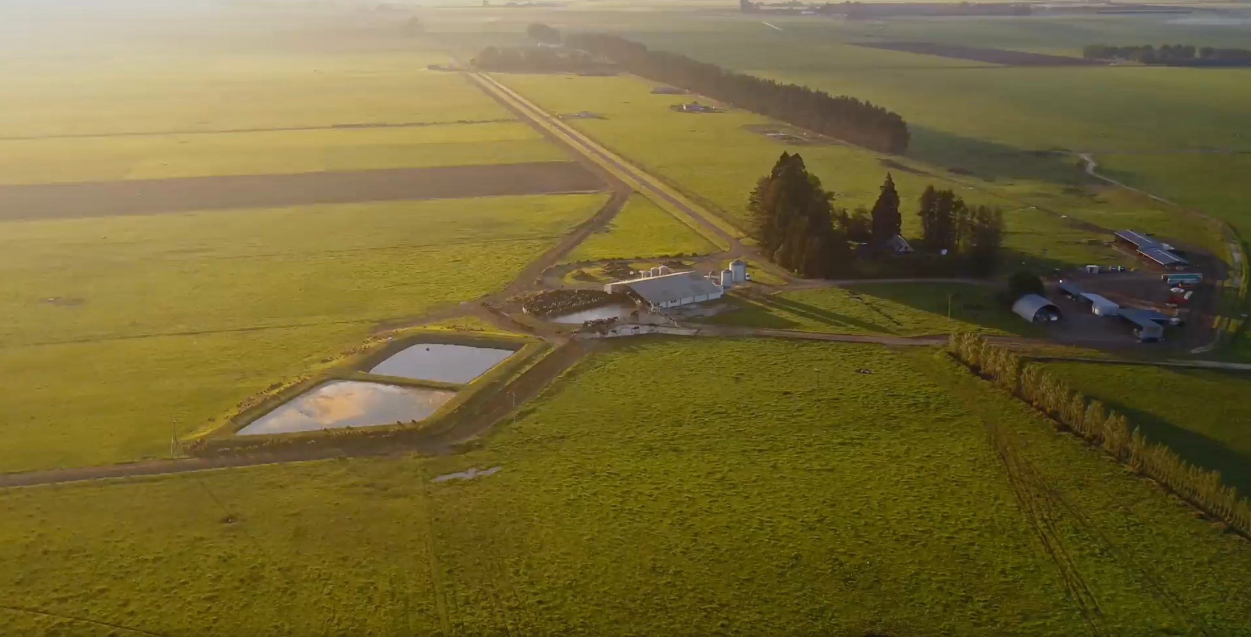 Align Farms Farming for a resilient, diverse, productive environment.